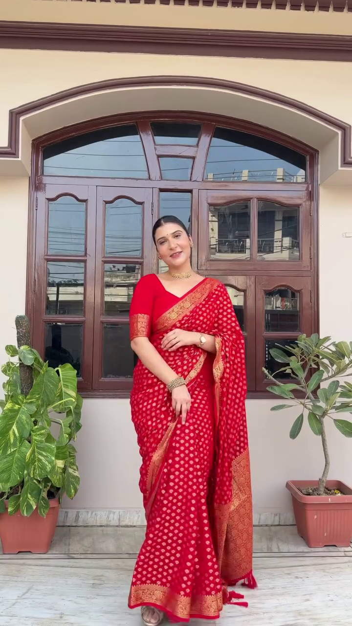 Elegant White Saree with Lace Border