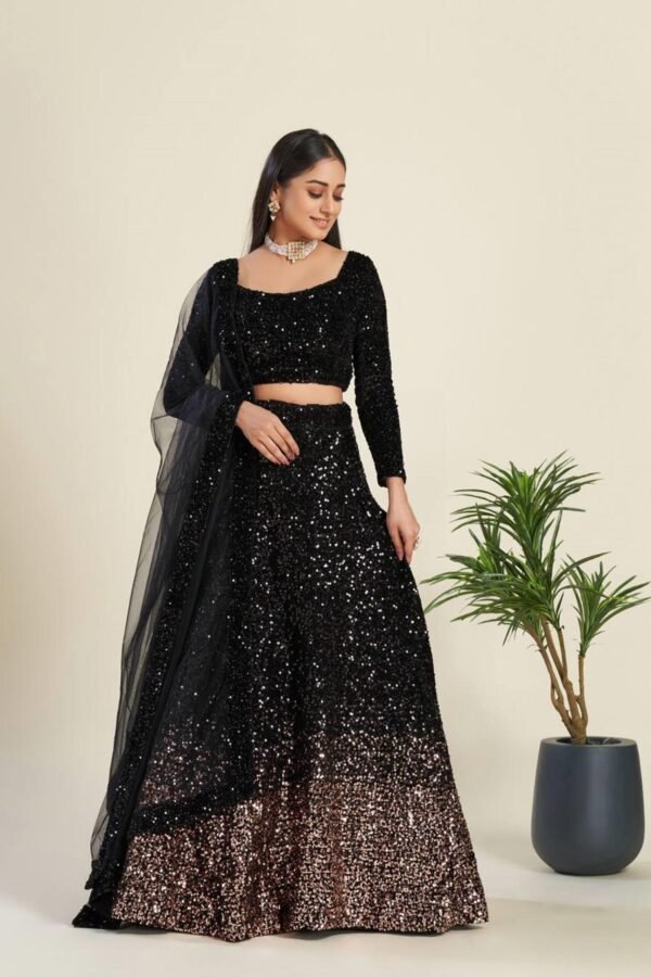 FB-44H_4.jpg Luxurious Black Velvet Lehenga