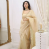 vlcsnap-2025-02-05-14h45m25s606.png Classic Fawn Stone Embellished Saree – A Perfect Blend of Grace and Glamour