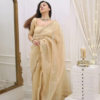 vlcsnap-2025-02-05-14h45m26s824.png Classic Fawn Stone Embellished Saree – A Perfect Blend of Grace and Glamour