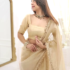 vlcsnap-2025-02-05-14h45m28s135.png Classic Fawn Stone Embellished Saree – A Perfect Blend of Grace and Glamour