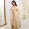 vlcsnap-2025-02-05-14h45m31s615.png Classic Fawn Stone Embellished Saree – A Perfect Blend of Grace and Glamour