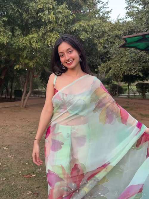 Mint Floral Organza Saree
