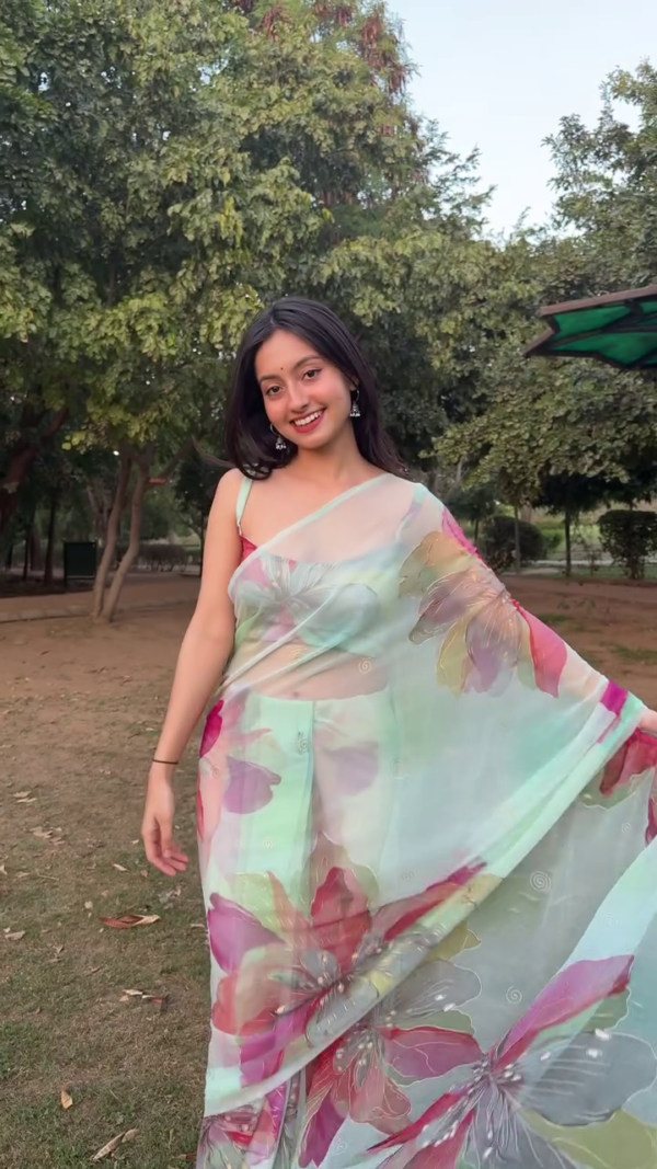 Mint Floral Organza Saree
