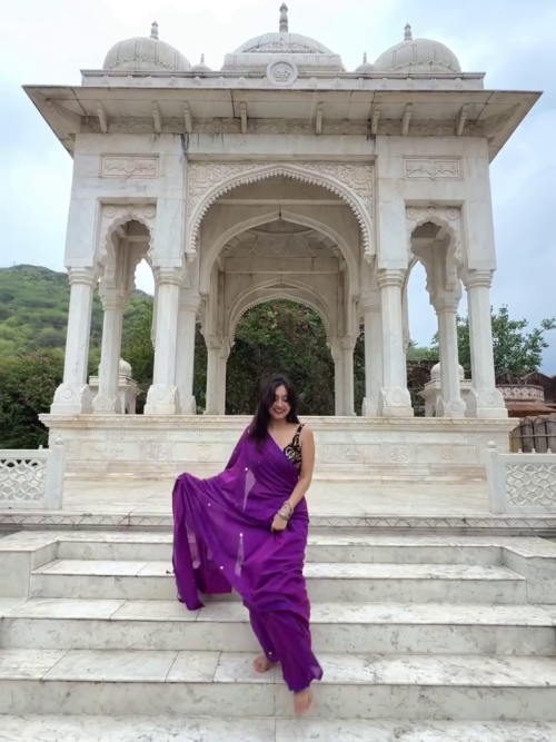 Royal Purple Chiffon Saree