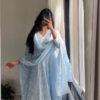 3044 (1) Powder Blue Chikankari Anarkali Set