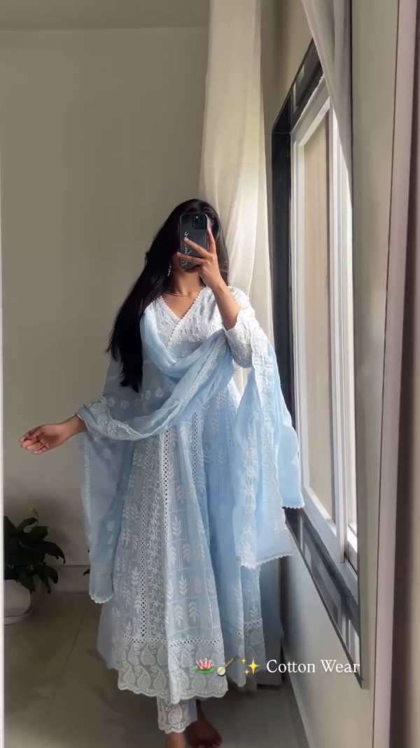 3044 (1) Powder Blue Chikankari Anarkali Set