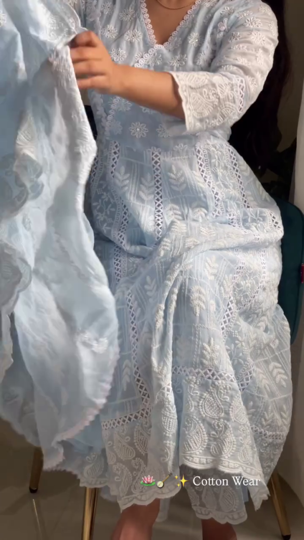3044 (2) Powder Blue Chikankari Anarkali Set