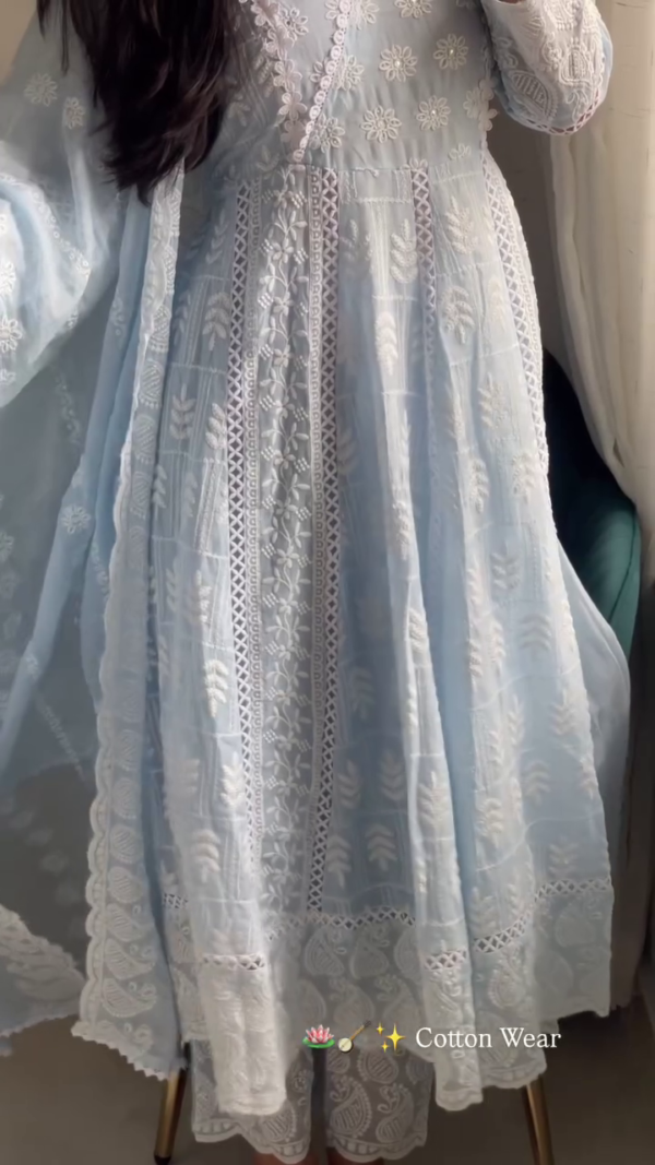 3044 (3) Powder Blue Chikankari Anarkali Set