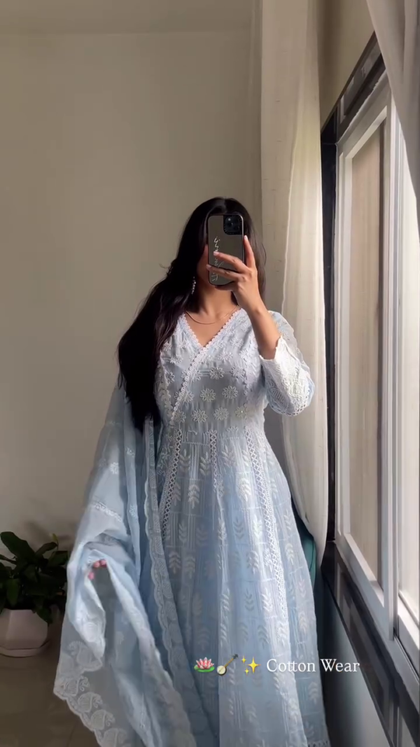 3044 (4) Powder Blue Chikankari Anarkali Set