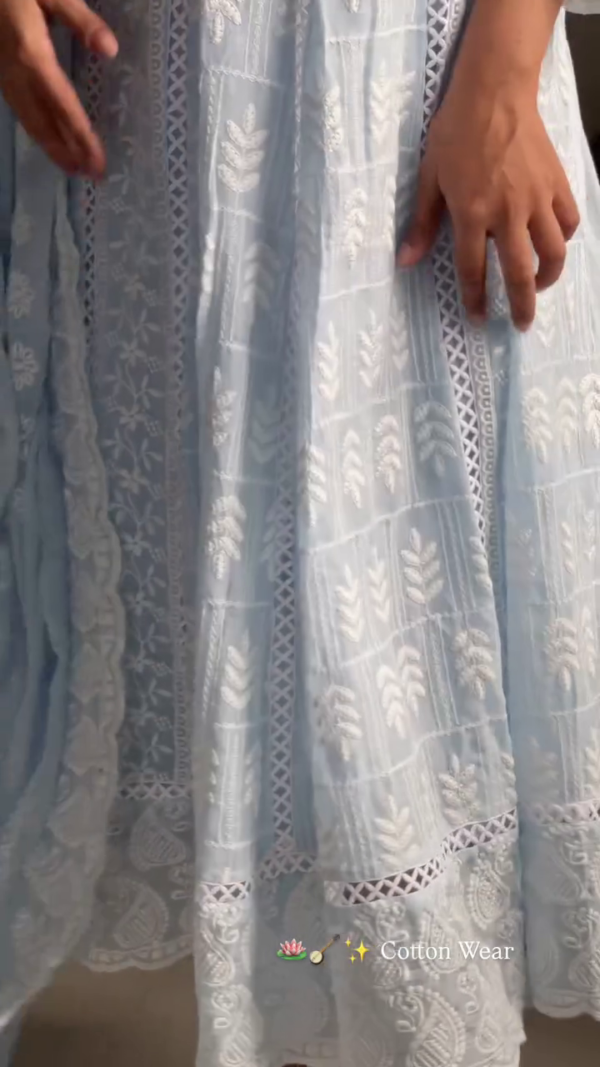 3044 (5) Powder Blue Chikankari Anarkali Set